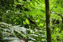 Semana Ambiental día 1 - 2