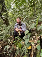 Iniciativas de conservación, ciencia participativa para el cuidado de la rana rubí