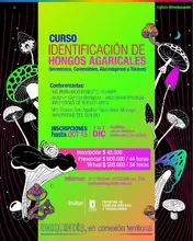 ¿Te apasiona el maravilloso mundo de los hongos?: ¡Este curso es para ti!