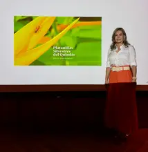 Platanillas Silvestres del Quindío, un libro escrito por María del Pilar Sepúlveda