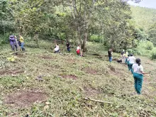 Sinergia territorial, siembra de árboles en Montenegro y EPA 2