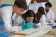 EMI Andes Diana Blach 1